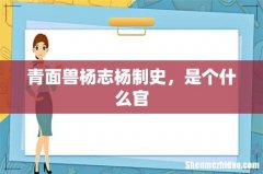 青面兽杨志杨制史，是个什么官