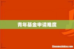 青年基金申请难度