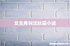 女主角叫沈秋霜小说