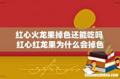 红心火龙果掉色还能吃吗 红心红龙果为什么会掉色