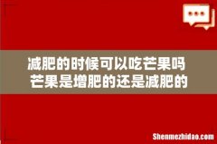 减肥的时候可以吃芒果吗 芒果是增肥的还是减肥的