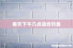 春天下午几点适合钓鱼