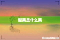 甜菜是什么菜