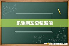 乐驰刹车总泵漏油