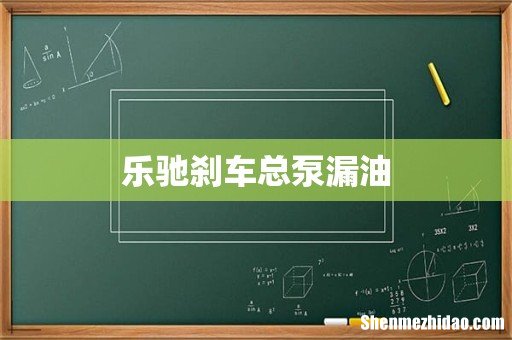 乐驰刹车总泵漏油