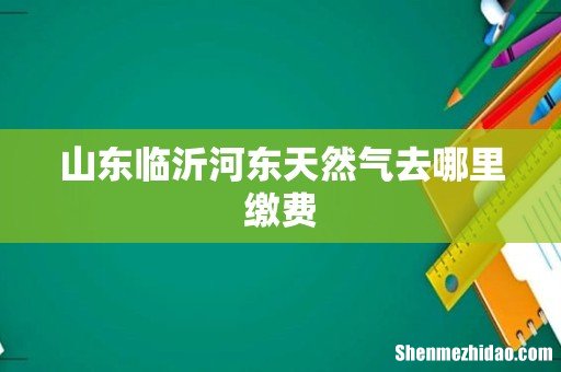山东临沂河东天然气去哪里缴费