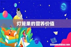灯笼果的营养价值