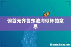 俯首无齐鲁东瞻海似杯的意思