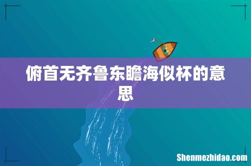 俯首无齐鲁东瞻海似杯的意思