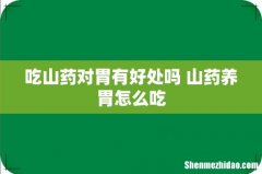 吃山药对胃有好处吗 山药养胃怎么吃