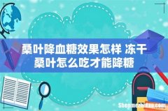 桑叶降血糖效果怎样 冻干桑叶怎么吃才能降糖
