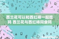 西兰花可以和西红柿一起吃吗 西兰花与西红柿同食吗