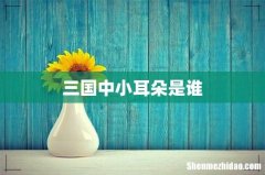 三国中小耳朵是谁