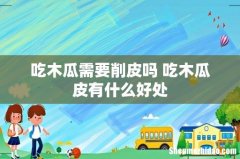 吃木瓜需要削皮吗 吃木瓜皮有什么好处