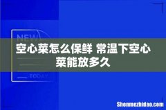空心菜怎么保鲜 常温下空心菜能放多久