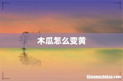 木瓜怎么变黄