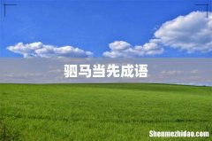 驷马当先成语