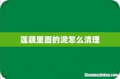 莲藕里面的泥怎么清理