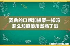 菱角的口感和板栗一样吗 怎么知道菱角煮熟了没
