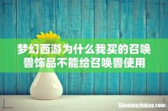 梦幻西游为什么我买的召唤兽饰品不能给召唤兽使用
