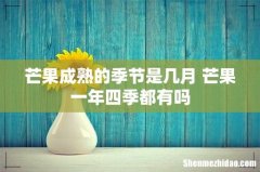 芒果成熟的季节是几月 芒果一年四季都有吗