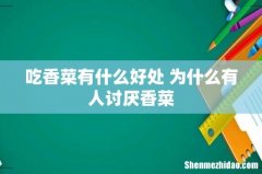 吃香菜有什么好处 为什么有人讨厌香菜