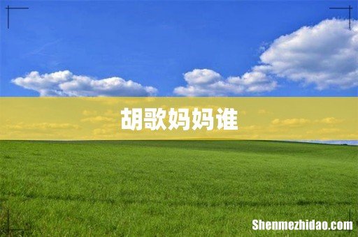 胡歌妈妈谁