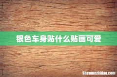 银色车身贴什么贴画可爱