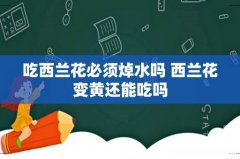 吃西兰花必须焯水吗 西兰花变黄还能吃吗