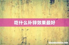 吃什么补锌效果最好