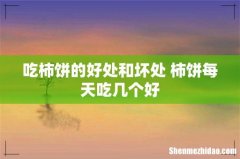 吃柿饼的好处和坏处 柿饼每天吃几个好