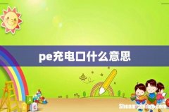 pe充电口什么意思