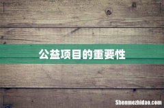 公益项目的重要性