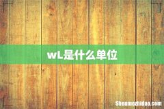 wL是什么单位