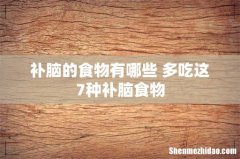 补脑的食物有哪些 多吃这7种补脑食物