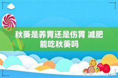 秋葵是养胃还是伤胃 减肥能吃秋葵吗