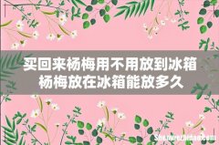 买回来杨梅用不用放到冰箱 杨梅放在冰箱能放多久