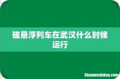 磁悬浮列车在武汉什么时候运行