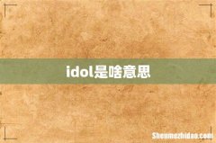idol是啥意思