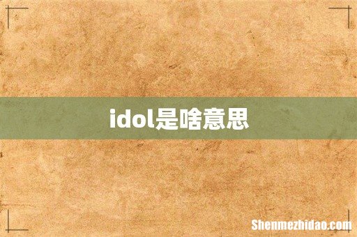 idol是啥意思