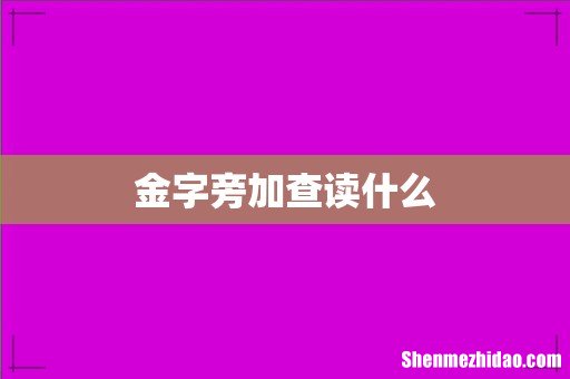 金字旁加查读什么