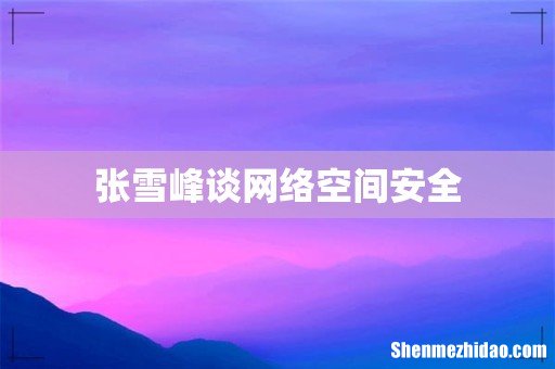 张雪峰谈网络空间安全