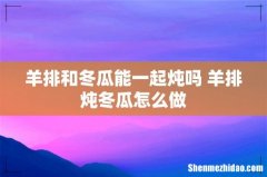 羊排和冬瓜能一起炖吗 羊排炖冬瓜怎么做