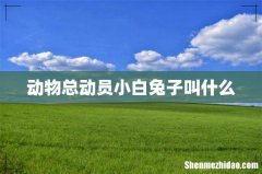 动物总动员小白兔子叫什么