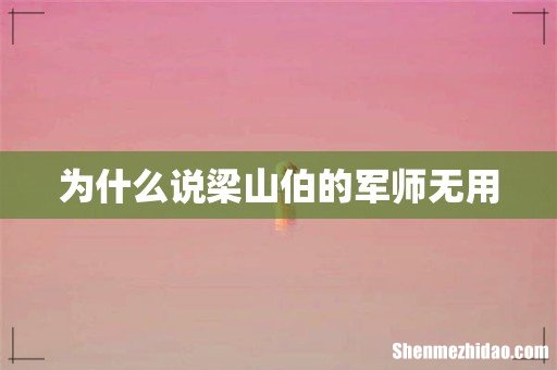 为什么说梁山伯的军师无用