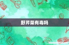 野芹菜有毒吗