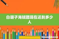 白胡子海贼团现在还剩多少人