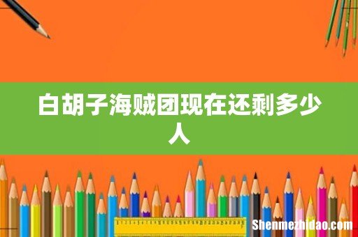 白胡子海贼团现在还剩多少人