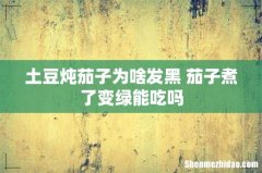 土豆炖茄子为啥发黑 茄子煮了变绿能吃吗