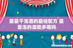 桑葚干泡酒的最佳配方 桑葚泡的酒能多喝吗
